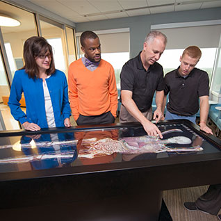 Physicians and staff discuss an anatomy simulation tool