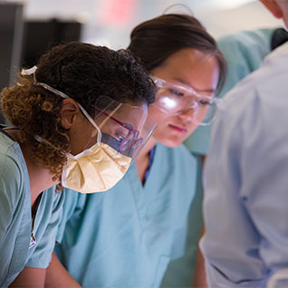 Medical students participate in an anatomy lab
