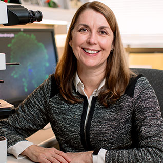 Isobel Scarisbrick, Ph.D.