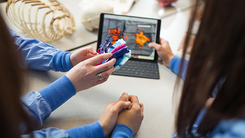 Overview photo of students using technology and 3D models to examine a heart during their PA education